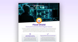 Flood Shield DDoS Protection solution - CDNetworks