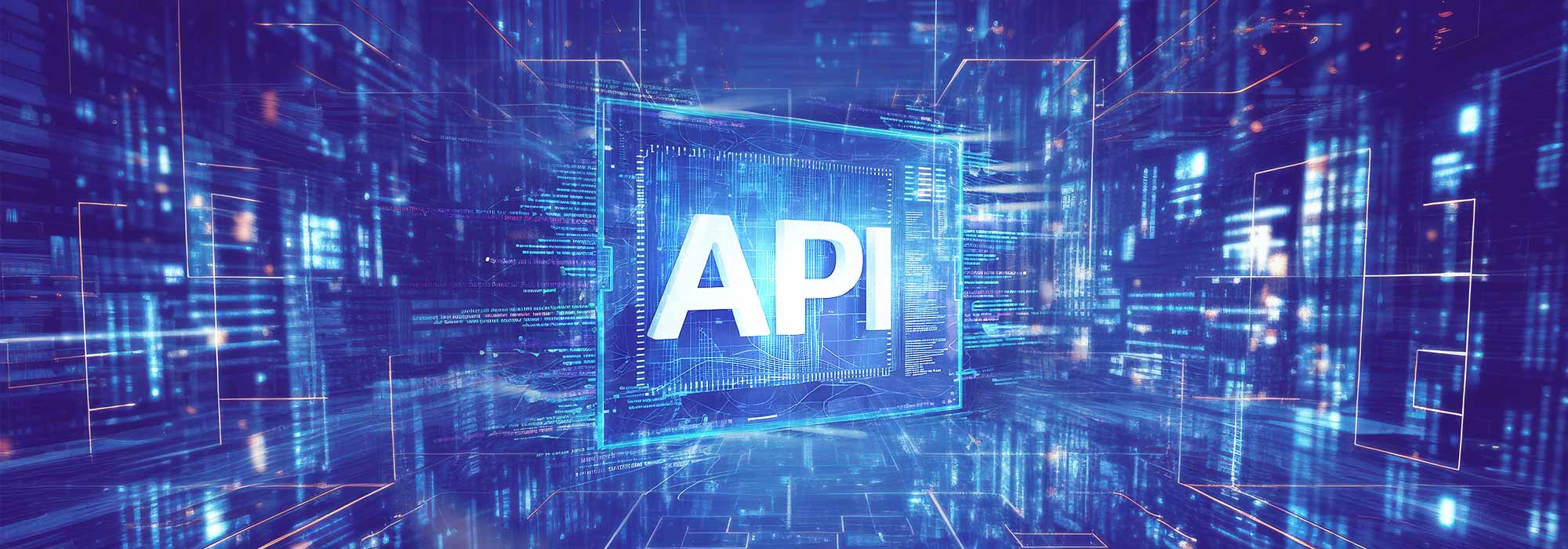 全面的 API 安全性