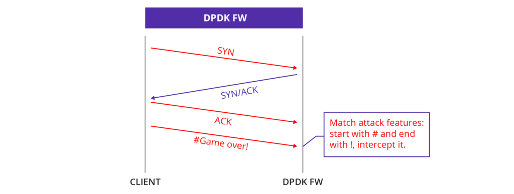 DPDK FW